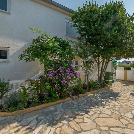 Apartment Seka Privlaka  Εξωτερικό φωτογραφία